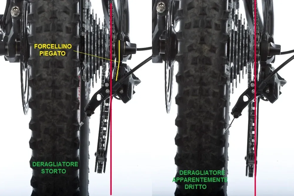 Rimessa In Dima Forcellino Cambio 