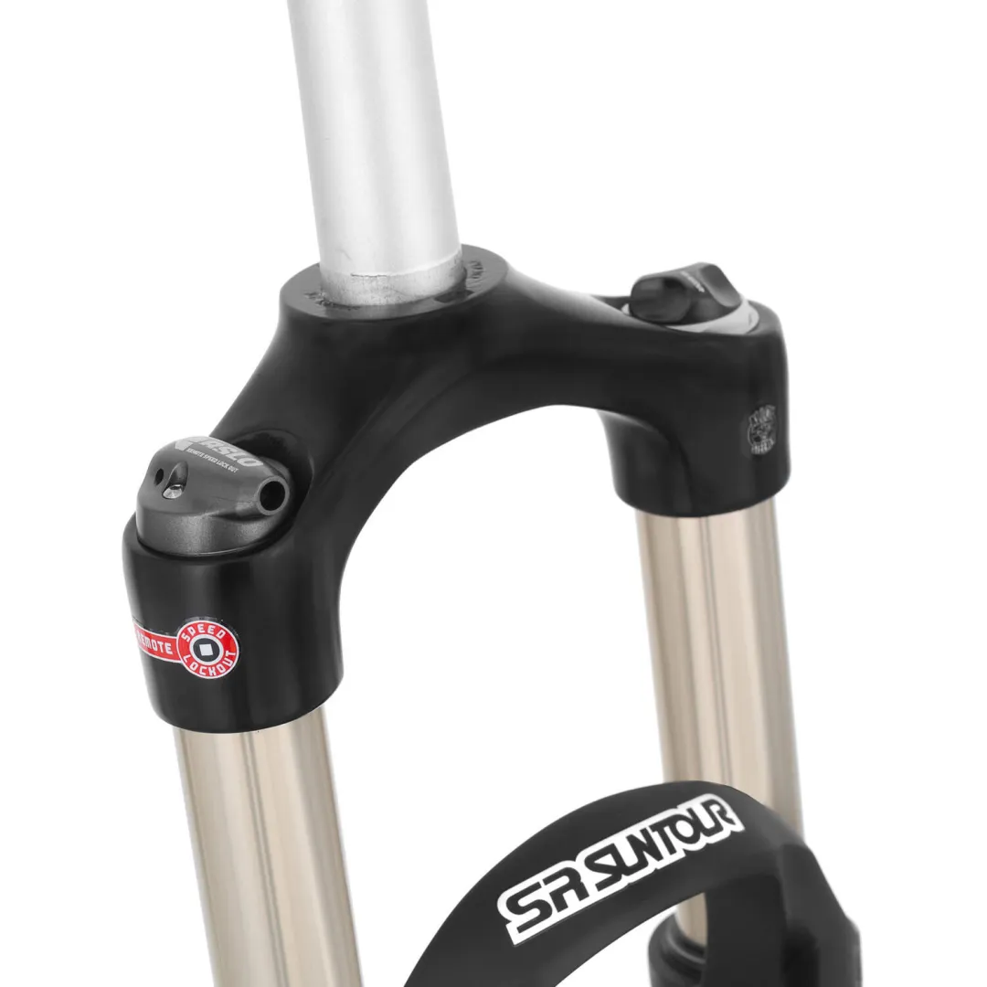 Manutenzione Forcella Suntour Raidon / Epicon /  Epixon /  Aion / Axon / Nex / Ncx / Xct / Xcm / Xcr